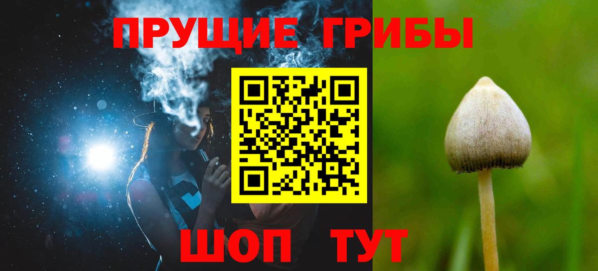 Псилоцибиновые грибы Magic Shrooms  наркошоп  Артёмовский  Вход с VPN 